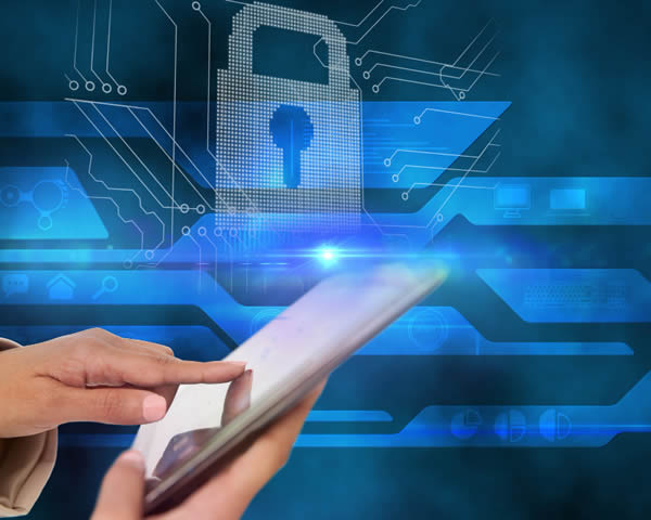 Accesos protegidos y bajo autorización