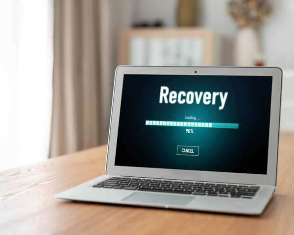 Recuperación rápida de la información